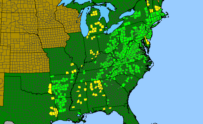 The range of Isotria verticillata